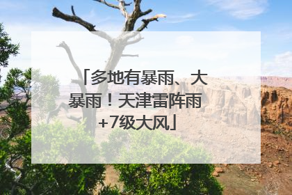多地有暴雨、大暴雨！天津雷阵雨+7级大风