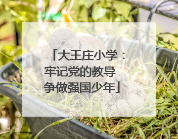 大王庄小学：牢记党的教导 争做强国少年