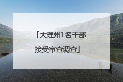 大理州1名干部接受审查调查