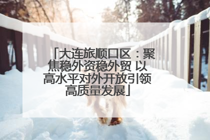 大连旅顺口区：聚焦稳外资稳外贸 以高水平对外开放引领高质量发展