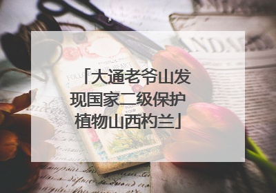 大通老爷山发现国家二级保护植物山西杓兰