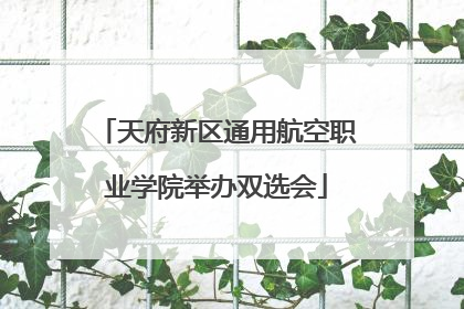 天府新区通用航空职业学院举办双选会