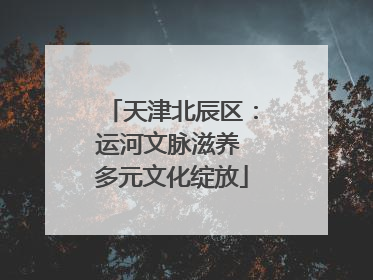 天津北辰区：运河文脉滋养 多元文化绽放