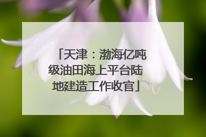 天津：渤海亿吨级油田海上平台陆地建造工作收官