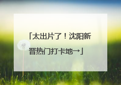 太出片了！沈阳新晋热门打卡地→