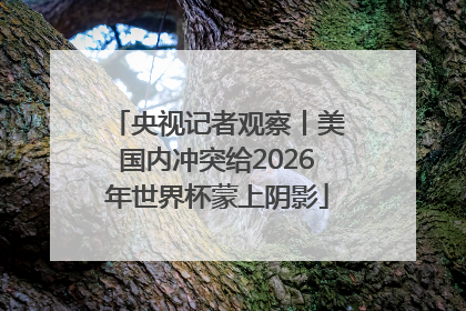 央视记者观察丨美国内冲突给2026年世界杯蒙上阴影