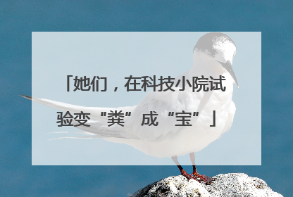 她们，在科技小院试验变“粪”成“宝”