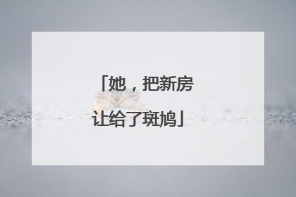 她，把新房让给了斑鸠