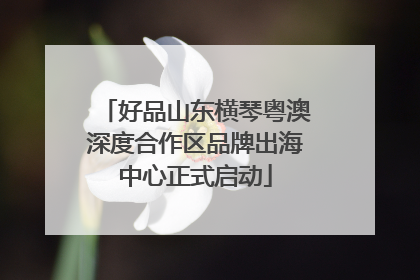 好品山东横琴粤澳深度合作区品牌出海中心正式启动