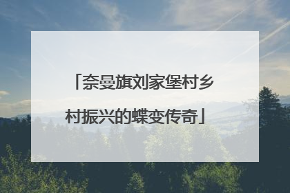 奈曼旗刘家堡村乡村振兴的蝶变传奇