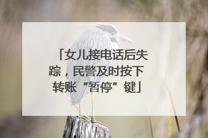 女儿接电话后失踪，民警及时按下转账“暂停”键