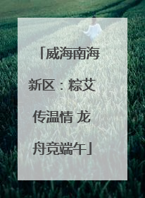 威海南海新区：粽艾传温情 龙舟竞端午