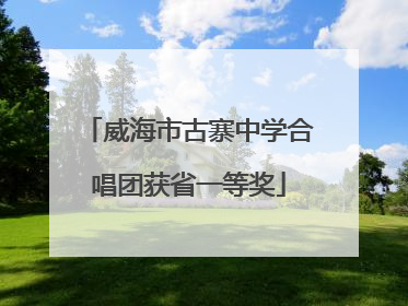 威海市古寨中学合唱团获省一等奖