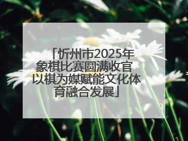 忻州市2025年象棋比赛圆满收官 以棋为媒赋能文化体育融合发展