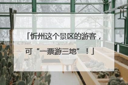 忻州这个景区的游客，可“一票游三地”！