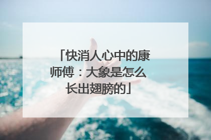 快消人心中的康师傅：大象是怎么长出翅膀的