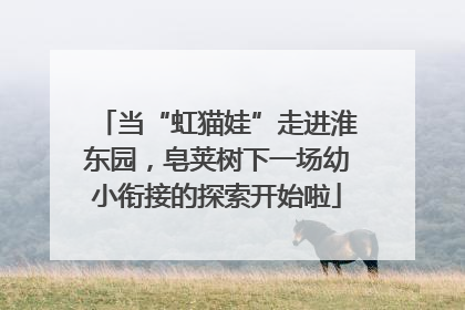 当“虹猫娃”走进淮东园，皂荚树下一场幼小衔接的探索开始啦