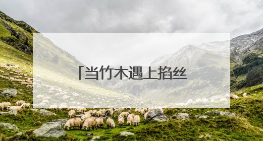 当竹木遇上掐丝珐琅！这所学校捧回省级大奖