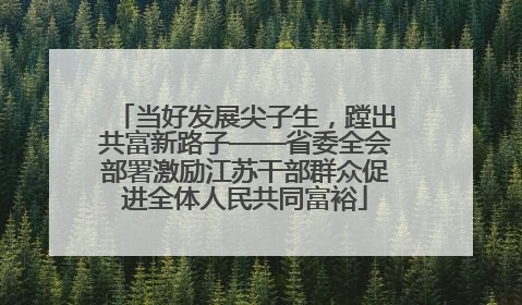 当好发展尖子生，蹚出共富新路子——省委全会部署激励江苏干部群众促进全体人民共同富裕