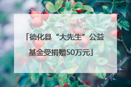 德化县“大先生”公益基金受捐赠50万元