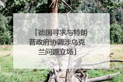 德国寻求与特朗普政府协调涉乌克兰问题立场