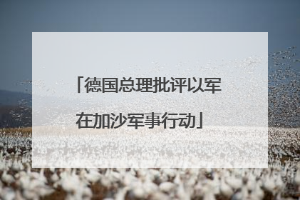 德国总理批评以军在加沙军事行动