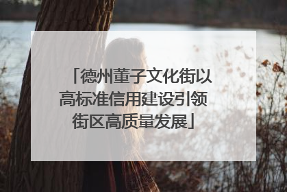 德州董子文化街以高标准信用建设引领街区高质量发展