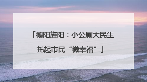 德阳旌阳：小公厕大民生 托起市民“微幸福”