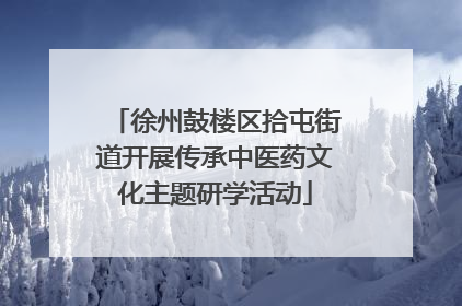 徐州鼓楼区拾屯街道开展传承中医药文化主题研学活动