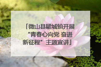 微山县驩城镇开展“青春心向党 奋进新征程”主题宣讲