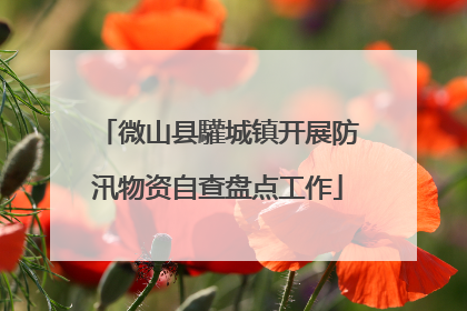 微山县驩城镇开展防汛物资自查盘点工作