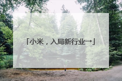 小米，入局新行业→