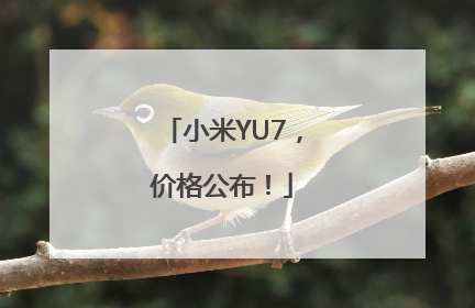小米YU7，价格公布！