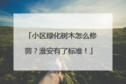 小区绿化树木怎么修剪？淮安有了标准！