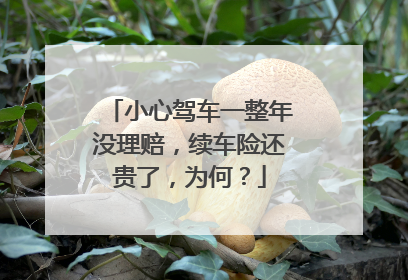 小心驾车一整年没理赔，续车险还贵了，为何？