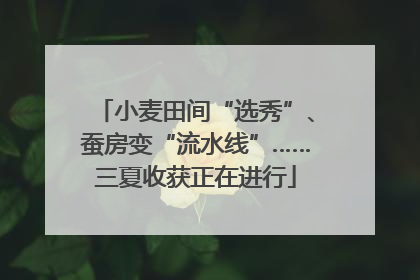 小麦田间“选秀”、蚕房变“流水线”……三夏收获正在进行