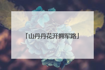 山丹丹花开拥军路