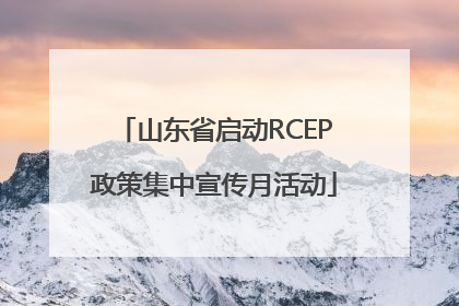 山东省启动RCEP政策集中宣传月活动