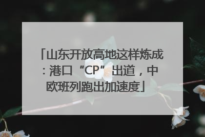 山东开放高地这样炼成：港口“CP”出道，中欧班列跑出加速度
