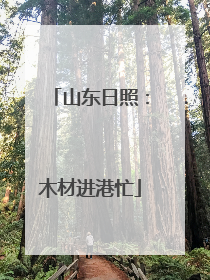 山东日照：木材进港忙