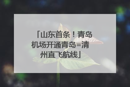 山东首条！青岛机场开通青岛=清州直飞航线