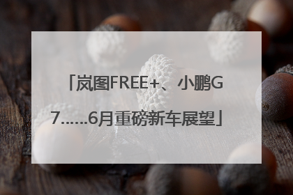 岚图FREE+、小鹏G7……6月重磅新车展望