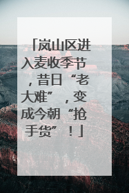 岚山区进入麦收季节，昔日“老大难”，变成今朝“抢手货”！