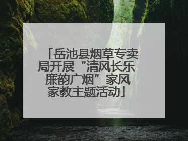 岳池县烟草专卖局开展“清风长乐 廉韵广烟”家风家教主题活动