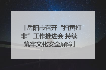 岳阳市召开“扫黄打非”工作推进会 持续筑牢文化安全屏障