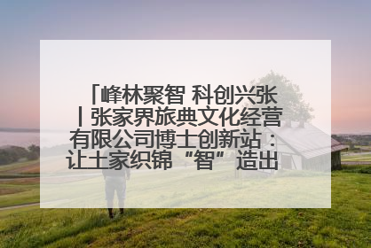 峰林聚智 科创兴张丨张家界旅典文化经营有限公司博士创新站：让土家织锦“智”造出非遗新传奇