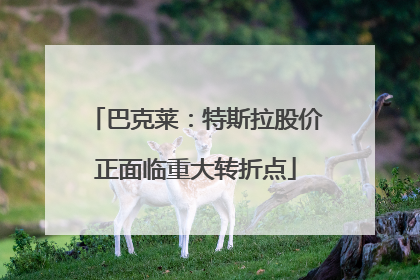巴克莱：特斯拉股价正面临重大转折点