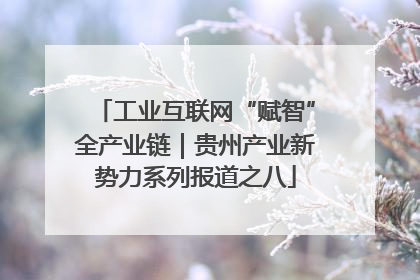 工业互联网“赋智”全产业链｜贵州产业新势力系列报道之八