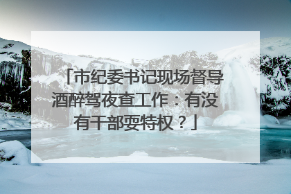 市纪委书记现场督导酒醉驾夜查工作：有没有干部耍特权？