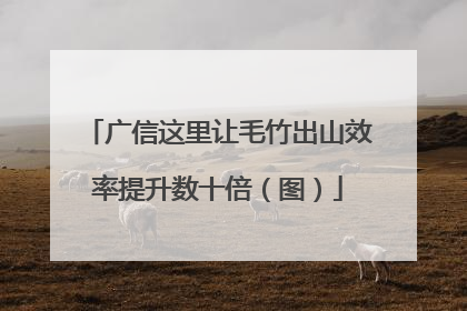 广信这里让毛竹出山效率提升数十倍（图）